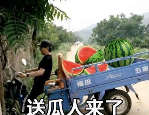 最近大瓜事件,揭秘明星隱私風波背后的真相