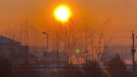 日落爆料視頻大全最新,揭秘最新視頻大全背后的驚人真相